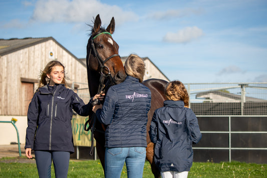 Introducing the New Equithread Website - Built for Riding Schools & Teams