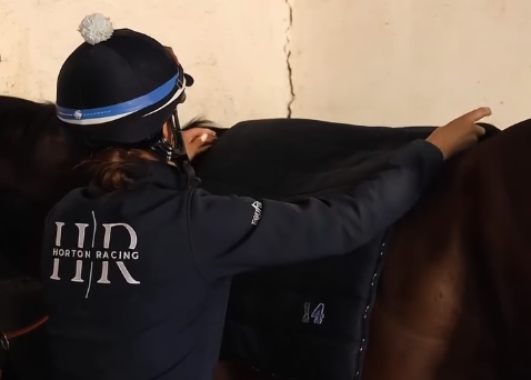 Horse Accessories